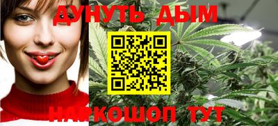 индика Ставрополь