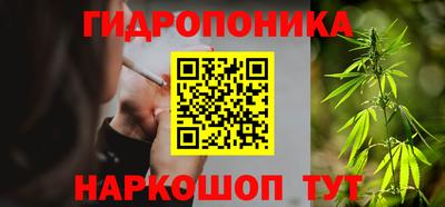 индика Ставрополь