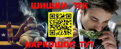 индика Ставрополь