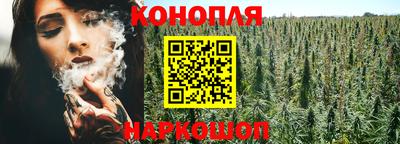 индика Ставрополь