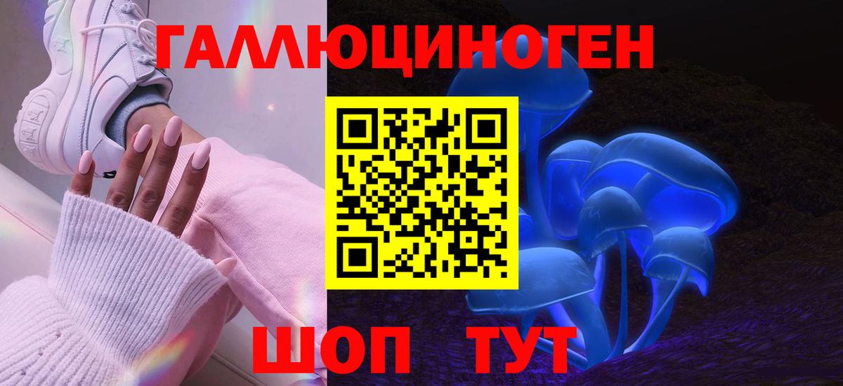 Новороссийск  Псилоцибиновые грибы Psilocybine cubensis  Псилоцибиновые грибы Psilocybe  Вход с VPN 