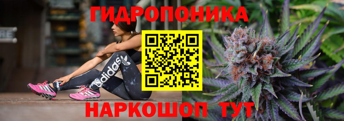 Бошки марихуана Ganja Новороссийск